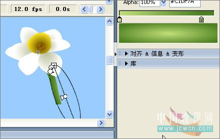 Flash繪畫(huà)技巧實(shí)例:鼠繪好看的水仙花