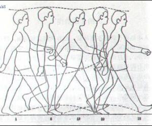 Flash動畫技巧：人側(cè)面走路動畫制作