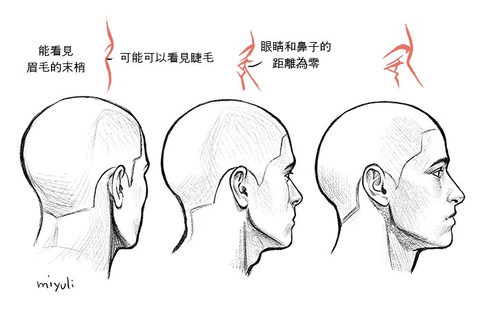 從側面的狀態(tài)觀看時，人物轉向另一側後，就只能看見眉毛和睫毛.jpg