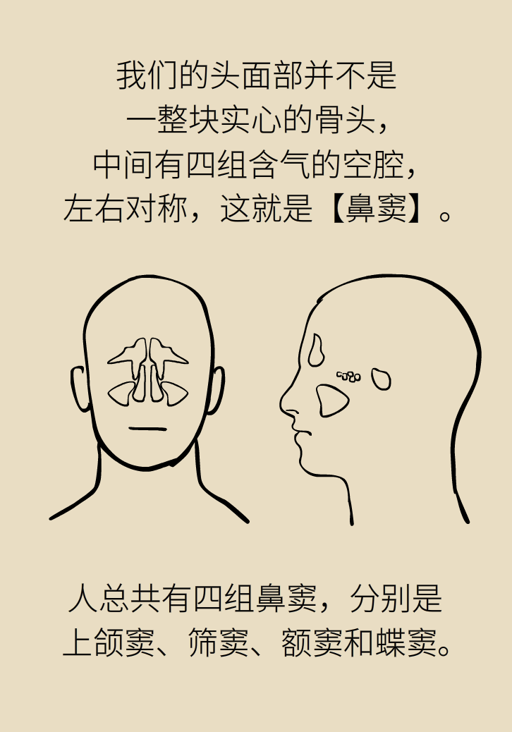 為什么鼻竇發(fā)炎，疼的卻是頭、眼和牙？