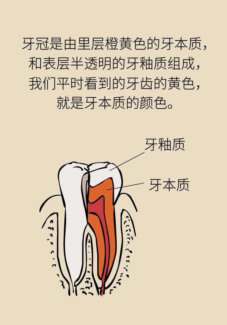 牙太黃，這些“美白”方法管用嗎？