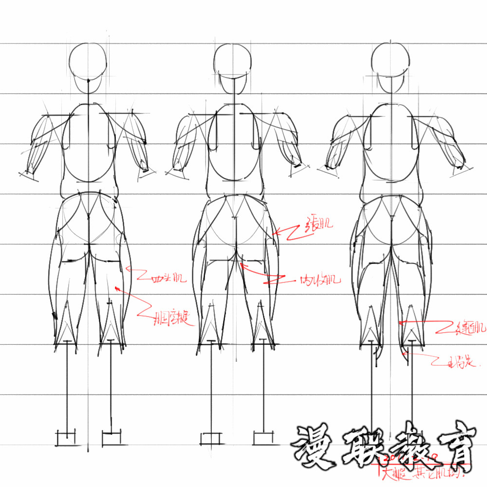 「動(dòng)漫設(shè)計(jì)素材」分享一波繪畫專用人體解剖素材 part 08