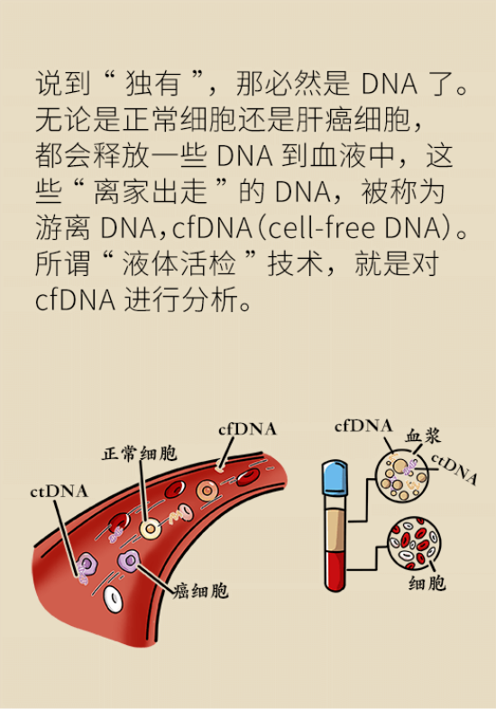 論發(fā)現(xiàn)早期肝癌的本事，cfDNA比AFP更精準，比影像學更早一步