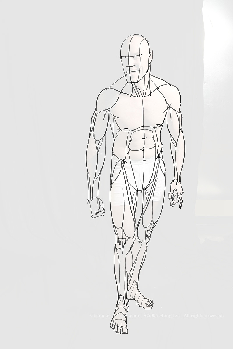 「動(dòng)漫設(shè)計(jì)制作素材」分享一波繪畫專用人體解剖素材 part 10