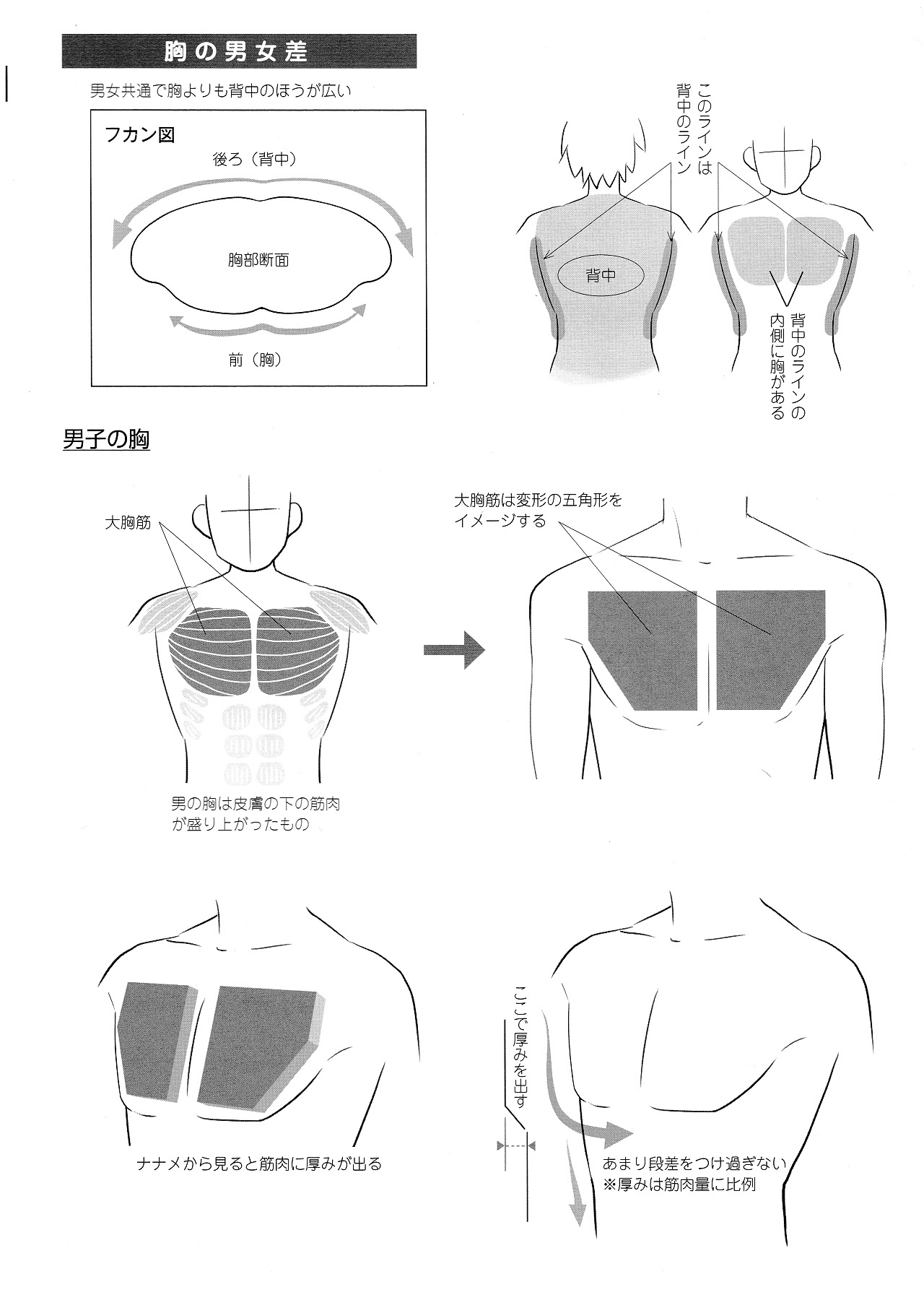 動漫角色設計：描繪男女の差別