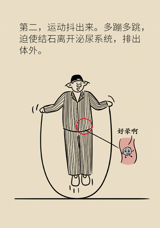 尿結(jié)石科普動(dòng)漫