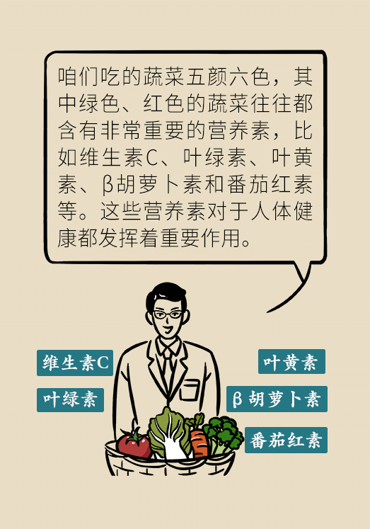 剩菜醫(yī)學(xué)知識(shí)科普動(dòng)漫制作