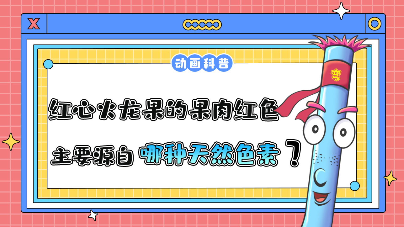 紅心火龍果的果肉之所以是紅色，主要源自哪種天然色素呢？.jpg