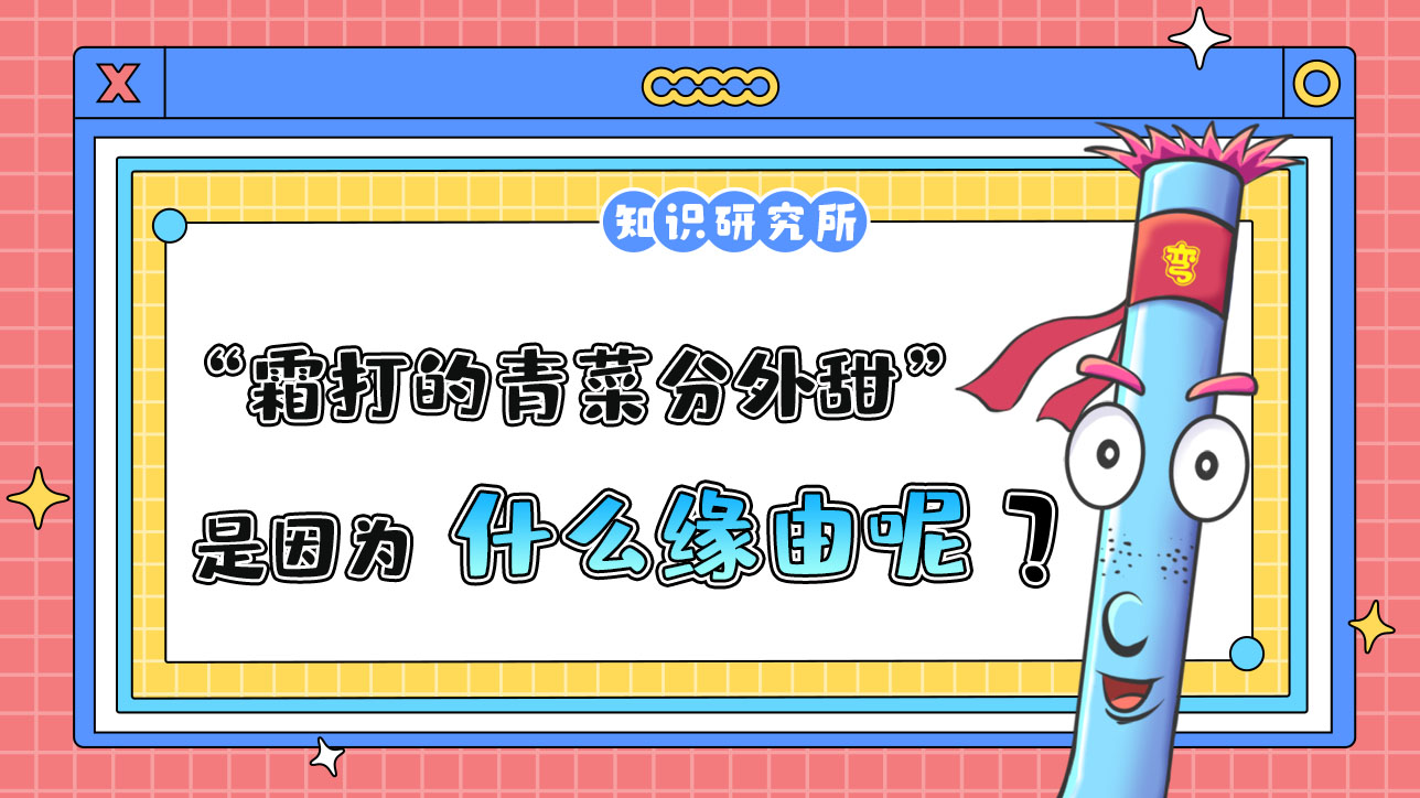 俗話說“霜打的青菜分外甜”，是因為什么呢？.jpg