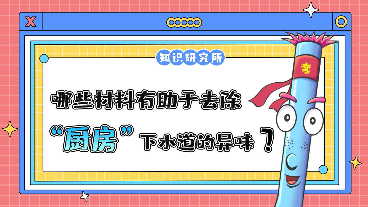 哪些材料有助于去除廚房下水道的異味？.jpg